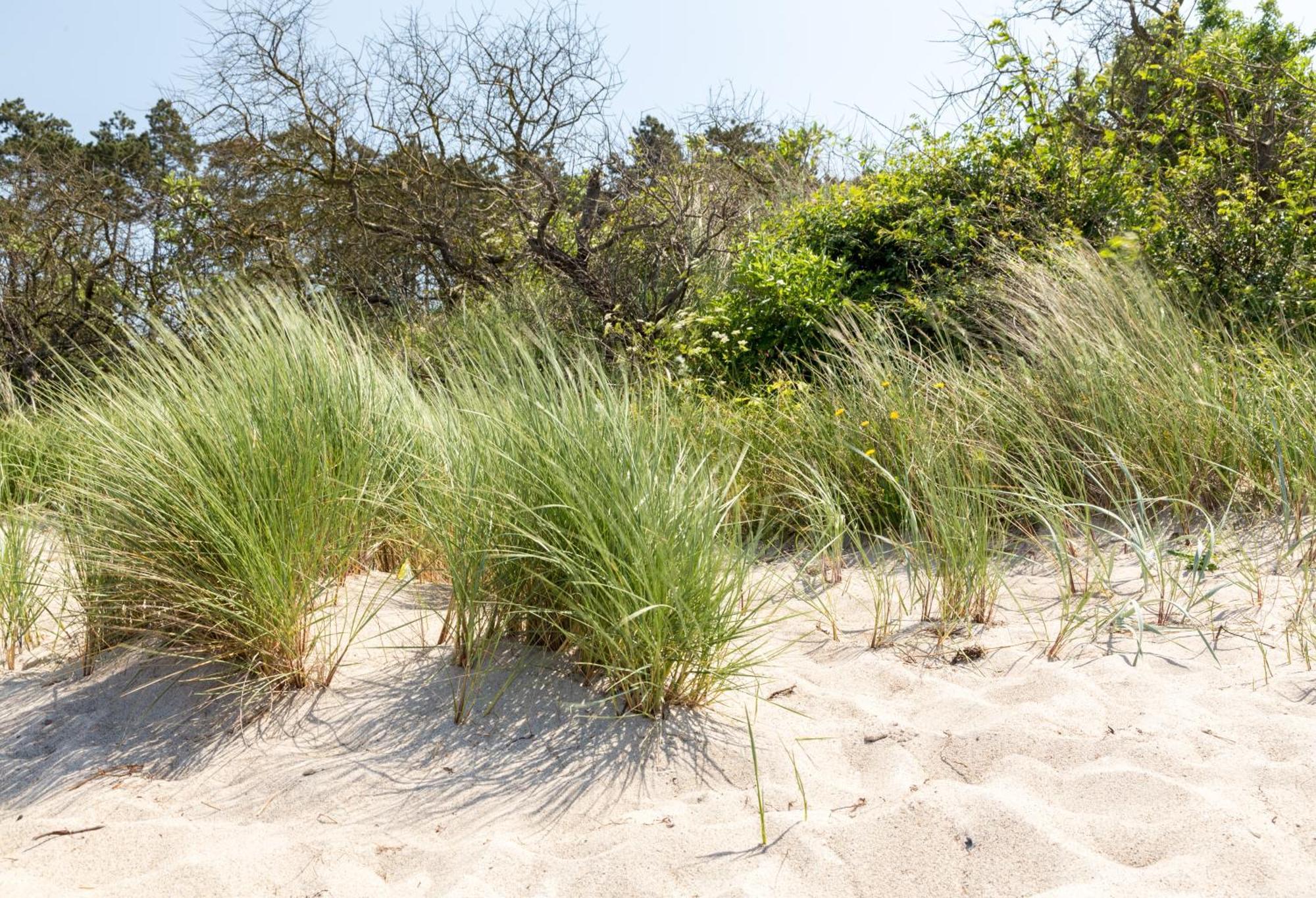 Apartment Schmidt Warnemuende - Strandhaus In Erster Meereslinie Iv *